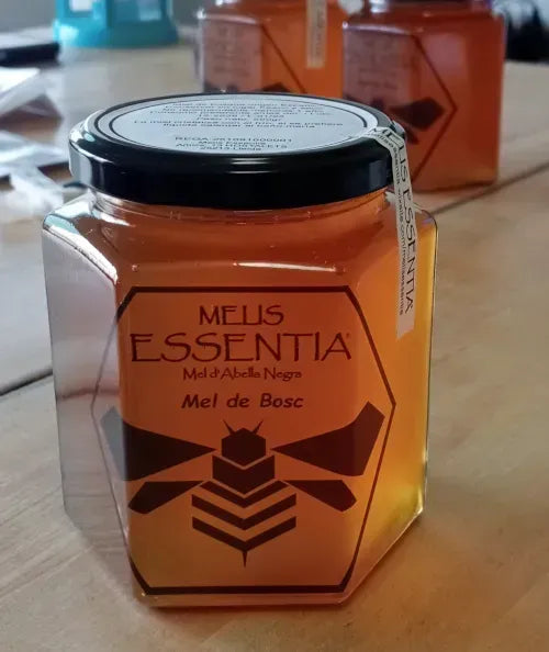 Miel natural de abejas negras -Bosque - 500g