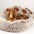 Cama para gatos y perros con forma de patita grande – 70 cm