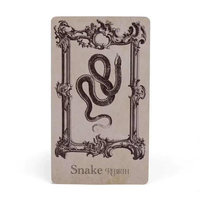 Cartes de l'Oracle del Grimori - Màgia de bruixeria