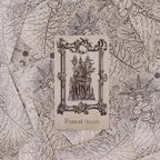 Cartas del Oráculo del Grimorio – 40 cartas - Mazo de Brujería