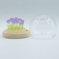 Domo de jardín Brillo Floral - 20 tulipanes - LED USB