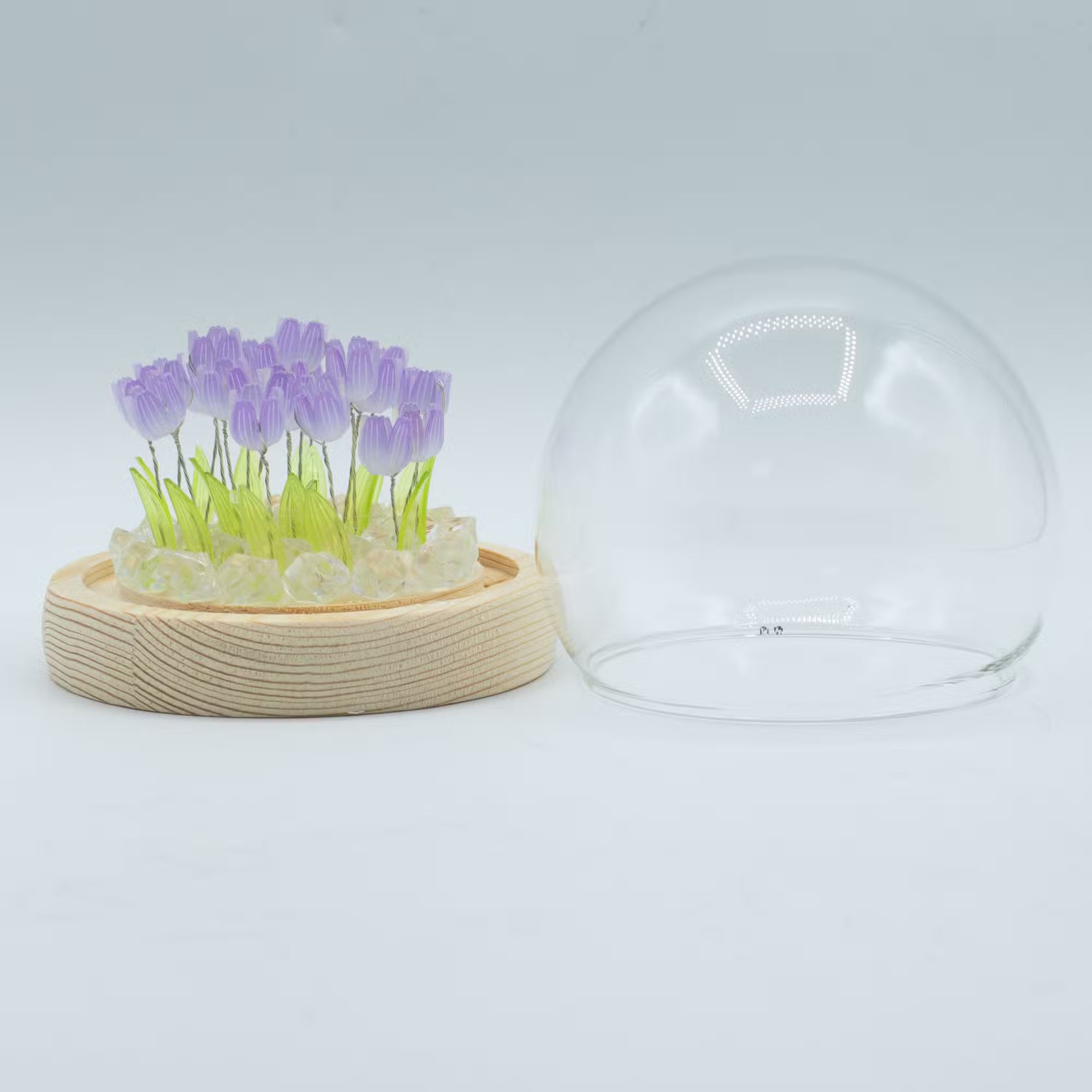 Domo de jardín Brillo Floral - 20 tulipanes - LED USB