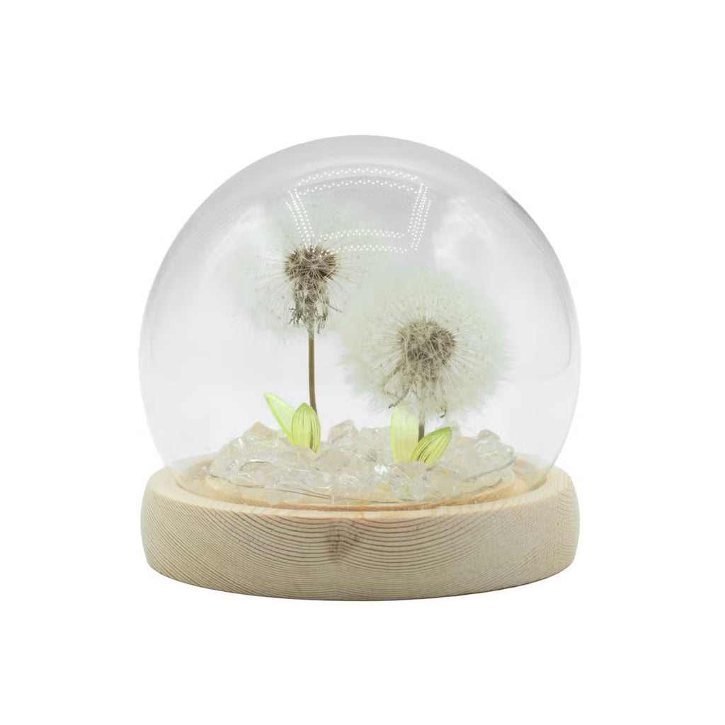 Domo de jardín Brillo Floral - 2 dientes de león - LED USB