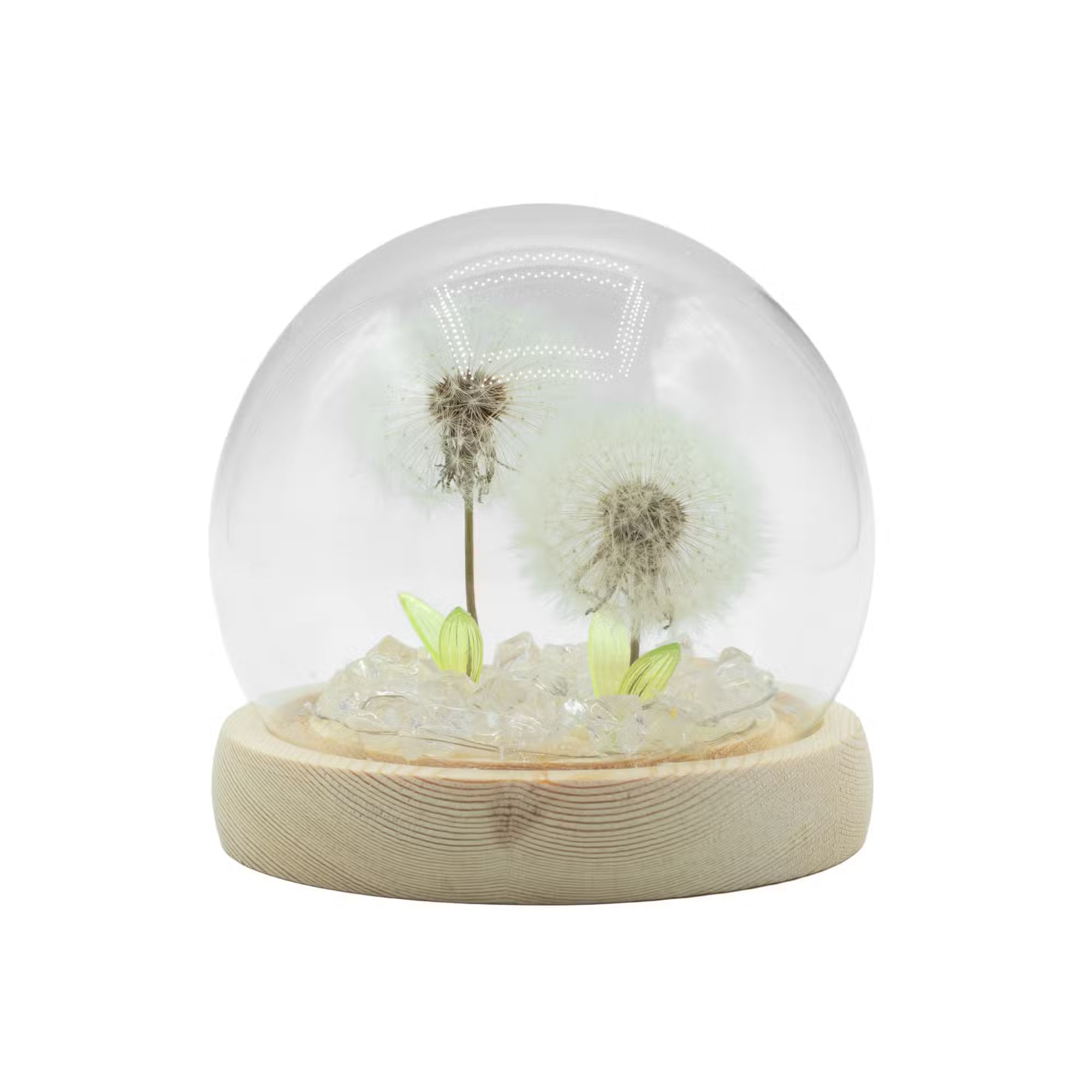 Domo de jardín Brillo Floral - 2 dientes de león - LED USB