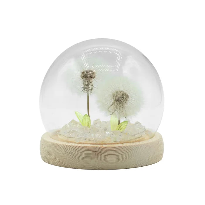Domo de jardín Brillo Floral - 2 dientes de león - LED USB