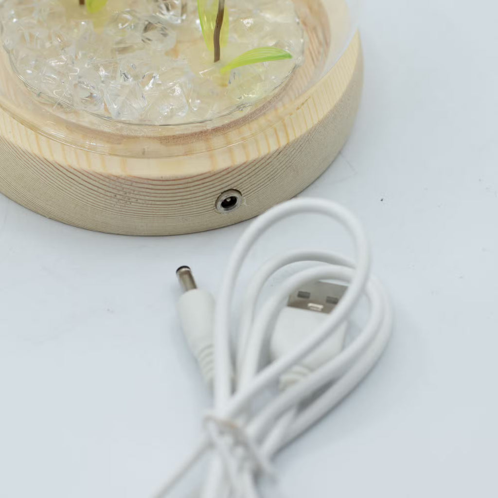 Domo de jardín Brillo Floral - 2 dientes de león - LED USB