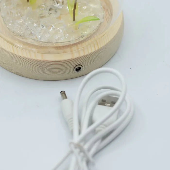 Domo de jardín Brillo Floral - 2 dientes de león - LED USB