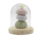 Domo de jardín Brillo Floral - 3 erizos de mar - LED USB