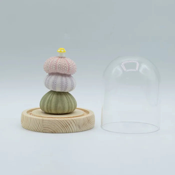 Domo de jardín Brillo Floral - 3 erizos de mar - LED USB