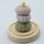 Domo de jardín Brillo Floral - 3 erizos de mar - LED USB