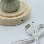 Domo de jardín Brillo Floral - 3 erizos de mar - LED USB
