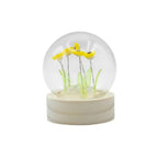 Domo de jardín Brillo Floral - 5 girasoles - Batería LED