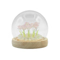 Cúpula de jardí Floral Glow - 10 roses rosades - LED USB