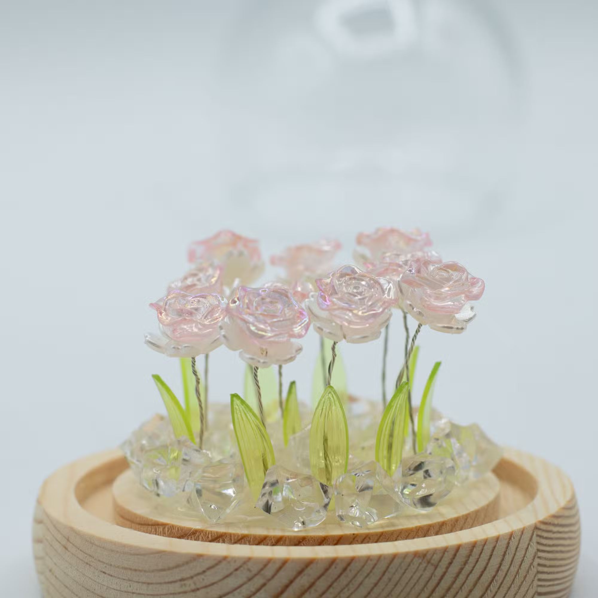 Domo de jardín Floral Glow - 10 rosas rosadas - LED USB