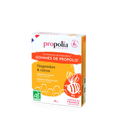 Gominolas ecologicas de Propóleo, jengibre y limón – 45grs
