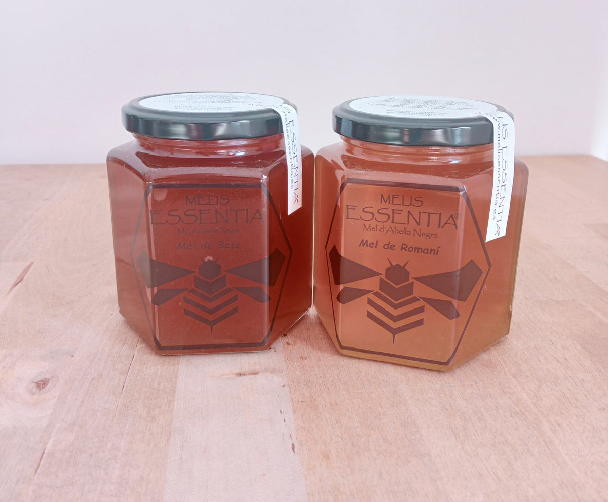 Lote 2 botes de miel natural de abejas negras – Romero + Bosque – 500 g