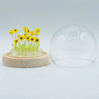 Domo Jardín Floral Glow - 20 girasoles - LED USB
