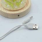 Domo Jardín Floral Glow - 20 girasoles - LED USB