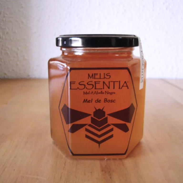 Abejas negras obreras Abejas negras obreras en el interior de su colmena